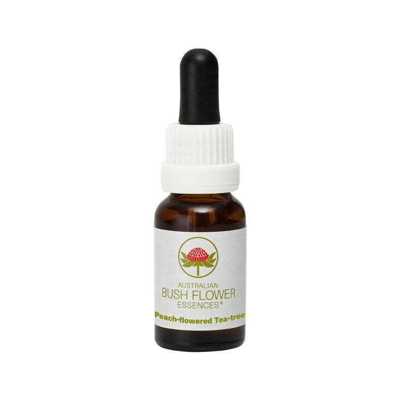 Fleur d'araignée grise australienne 15 ml