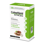 Sanavita Colestlipid Plus 45 comprimés