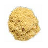 Fosfarsile Memory 10 flacons