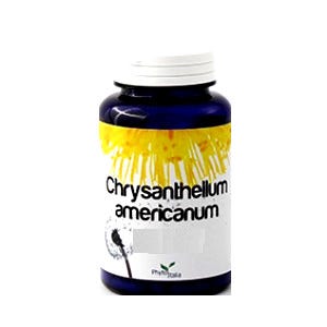GINKGO BILOBA 60 CAPSULES