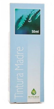 Éponge Hippocampe 11