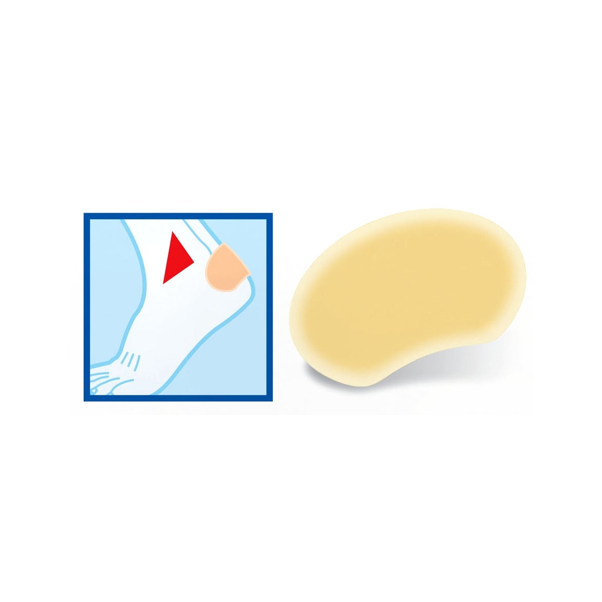 Amilax 600 10 flacons de 10 ml